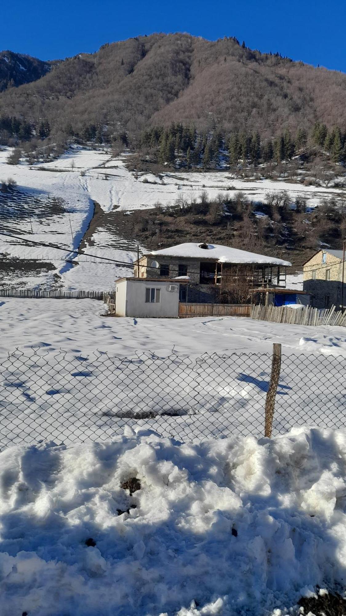 Lela Guest House ميستيا المظهر الخارجي الصورة